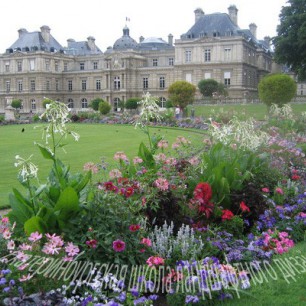 Фасад Люксембургского дворца со стороны партера.