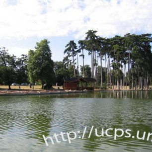 Озеро в парке