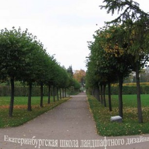 Аллеи Екатерининского парка